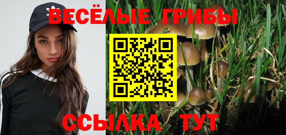 Псилоцибиновые грибы MAGIC MUSHROOMS Благодарный