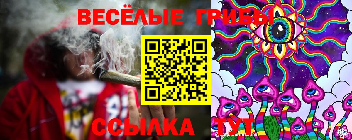 Галлюциногенные грибы Magic Shrooms  Вход с VPN  Благодарный  Галлюциногенные грибы ЛСД 